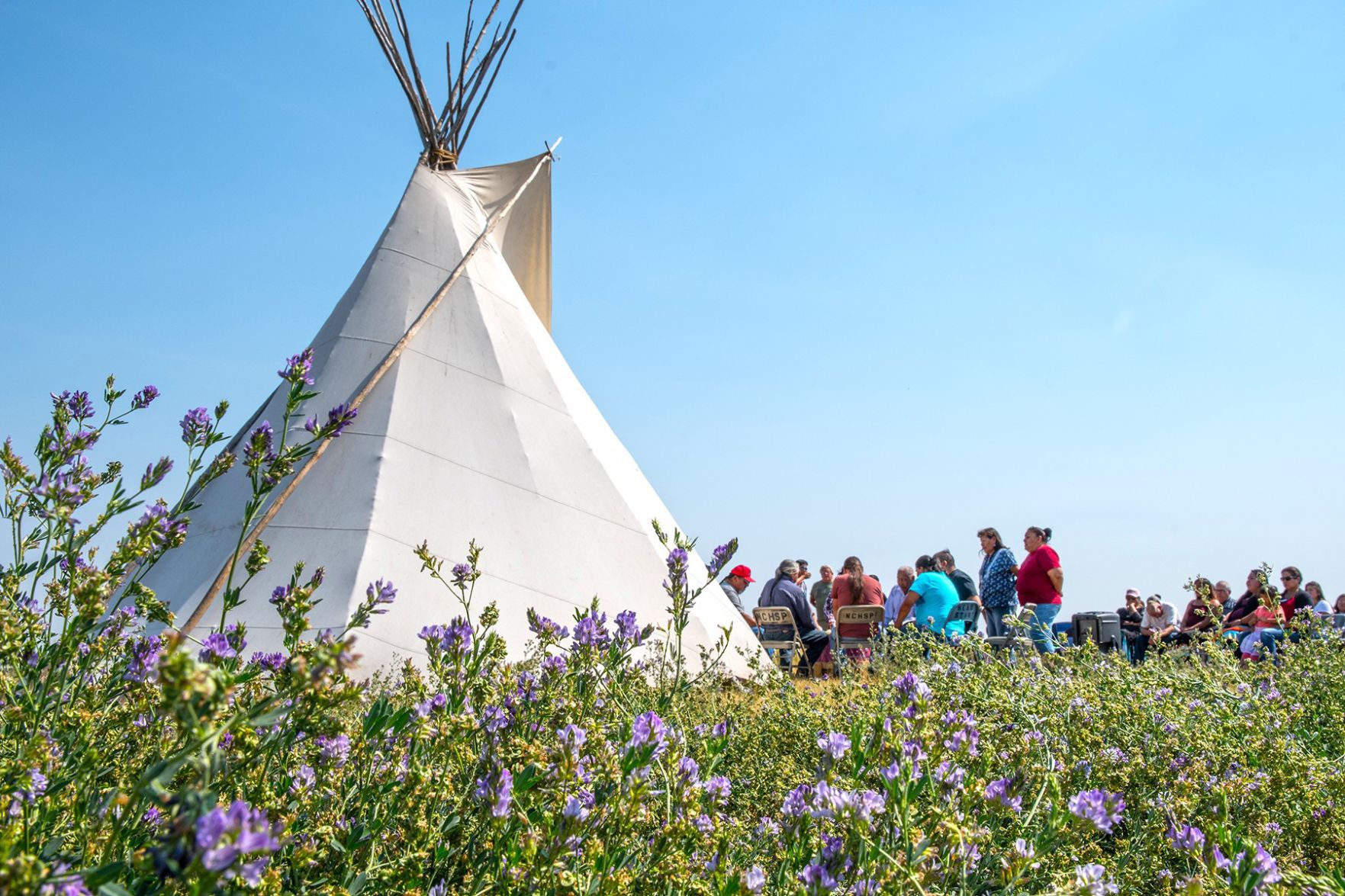 Tepee and clover